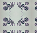Lavender Roses Fabric
