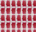 Red Roses Fabric